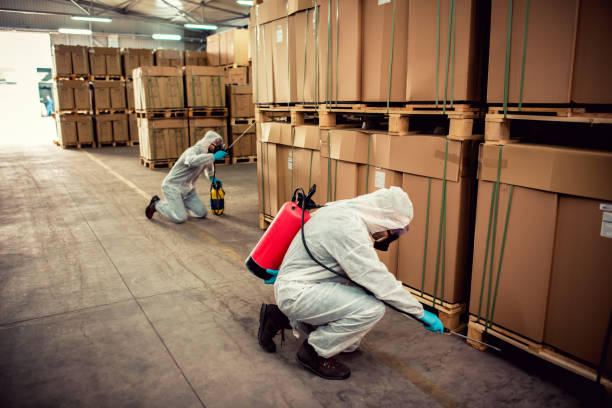 Best Emergency Pest Control  in Whitestown, IN