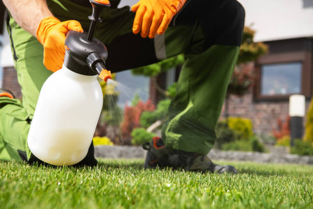 Best Best Pest Control Companies  in Whitestown, IN