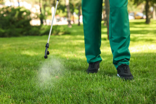 Best Insect Control  in Whitestown, IN