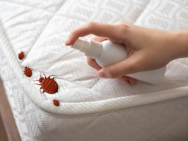 Trusted Whitestown, IN Pest Control Experts